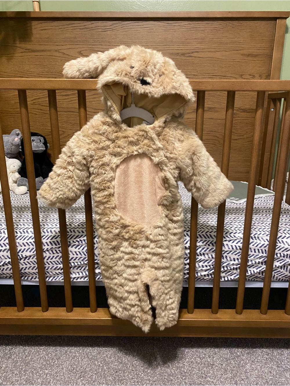 Pottery Barn Puppy Costume - 0-6 Months